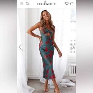 NWT Hello Molly Fool Me Once MIDI Dress